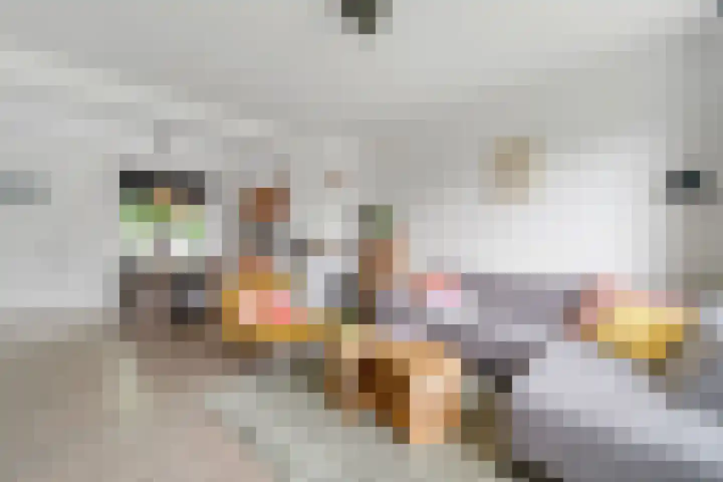 Julianastraat 4 Enter thumbnail 4