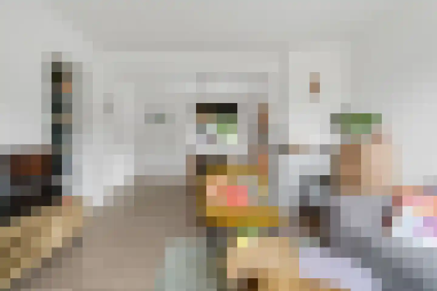 Julianastraat 4 Enter thumbnail 5