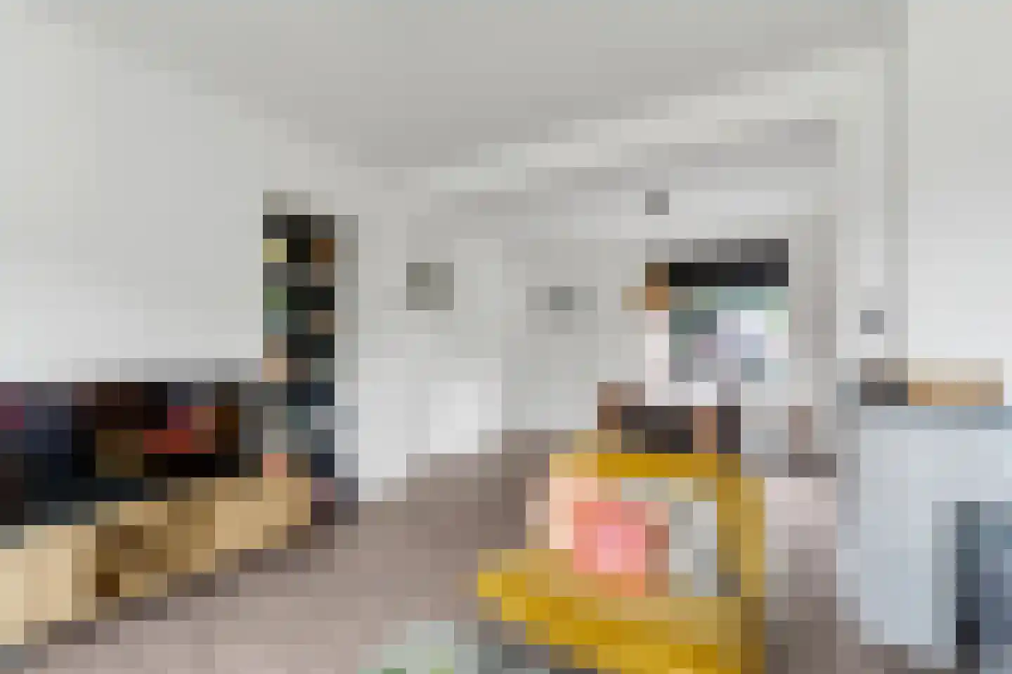 Julianastraat 4 Enter thumbnail 6