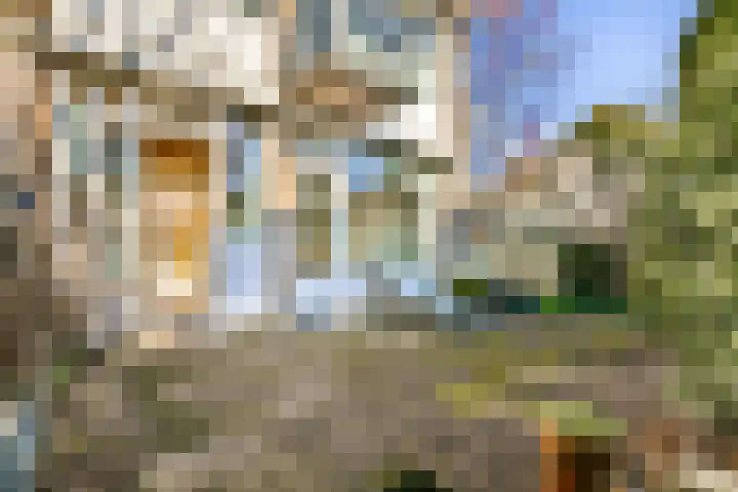 Julianastraat 4 Halfweg thumbnail 10