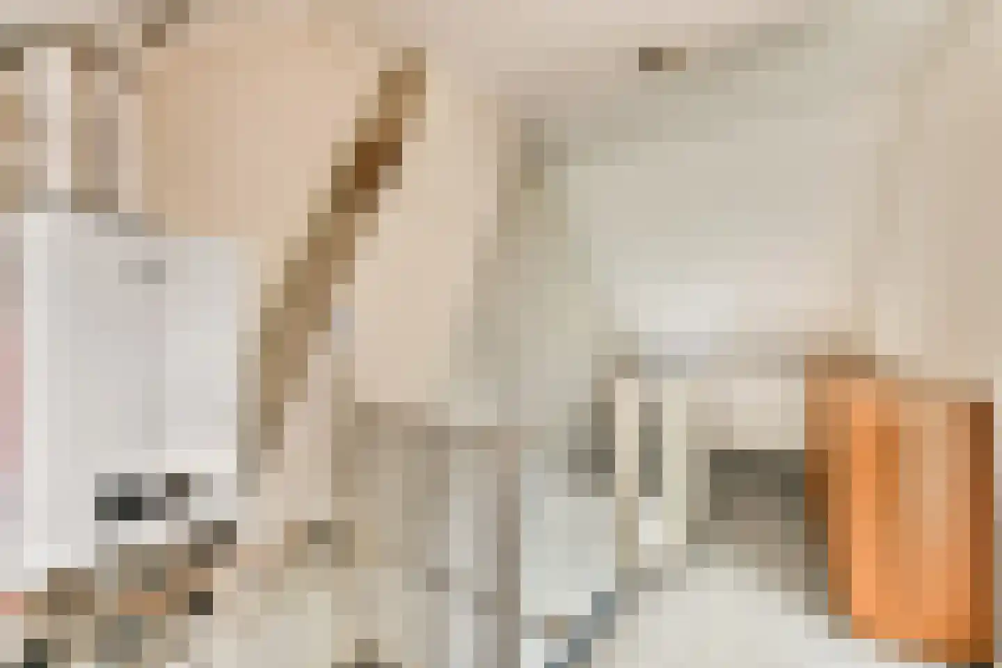Julianastraat 4 Halfweg thumbnail 23