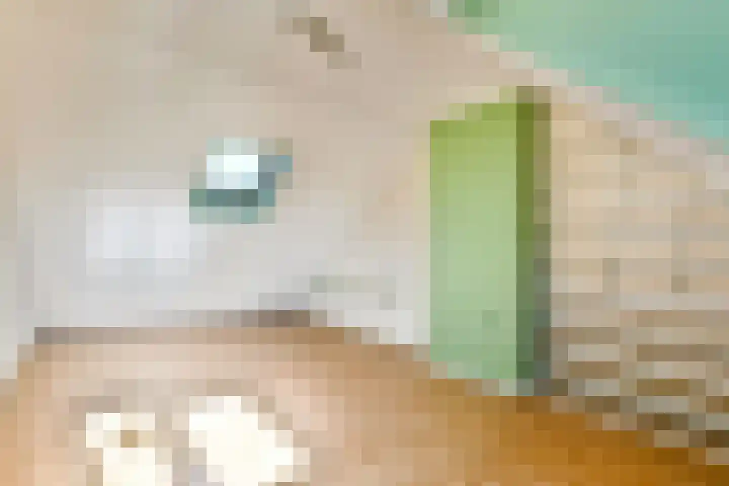Julianastraat 4 Halfweg thumbnail 25