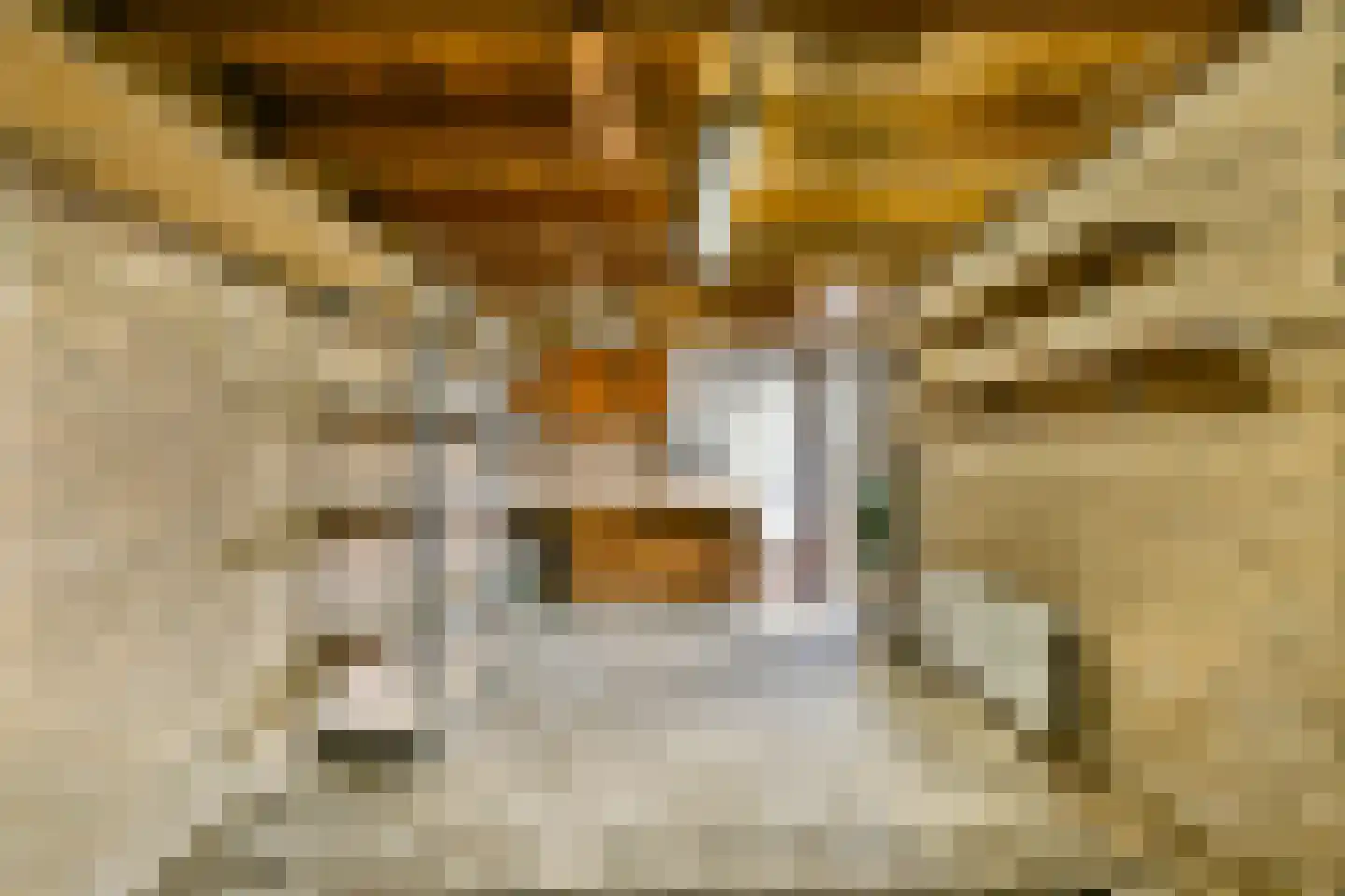 Julianastraat 4 Halfweg thumbnail 27