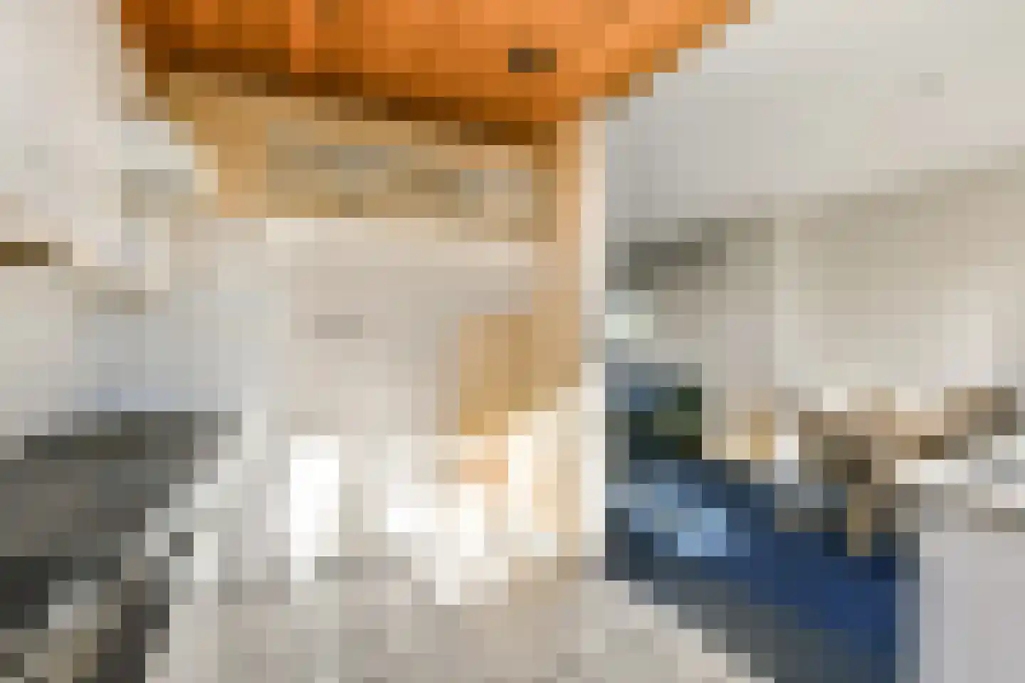 Julianastraat 4 Halfweg thumbnail 8