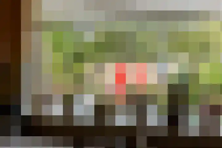 Julianastraat 4 Hellevoetsluis thumbnail 17