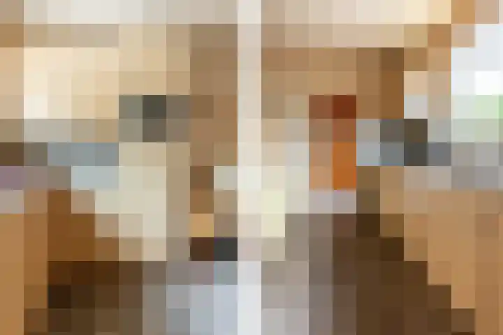 Julianastraat 4 Hellevoetsluis thumbnail 18