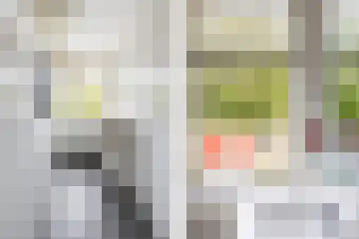 Julianastraat 4 Hellevoetsluis thumbnail 30