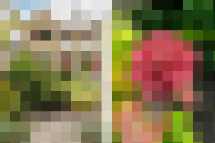 Julianastraat 4 Hellevoetsluis thumbnail 33