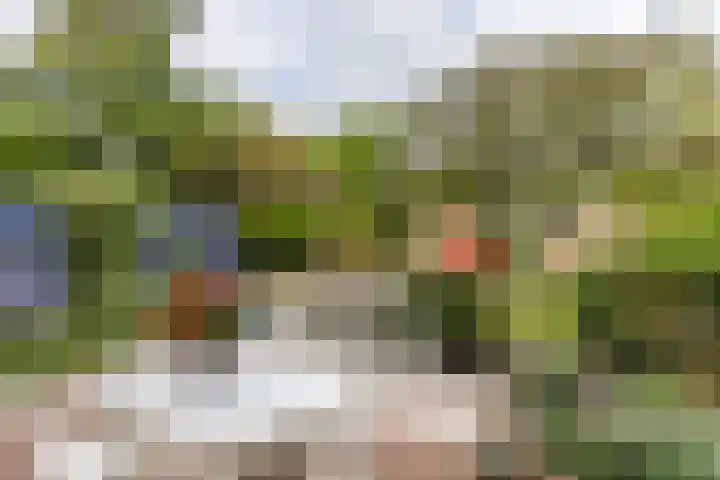 Julianastraat 4 Hellevoetsluis thumbnail 35