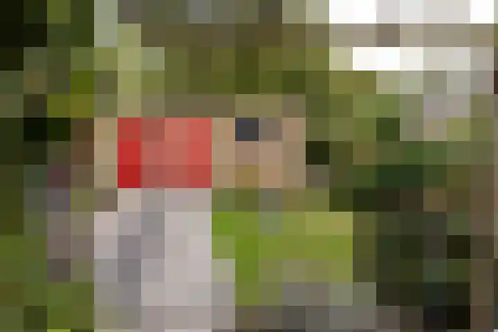 Julianastraat 4 Hellevoetsluis thumbnail 37