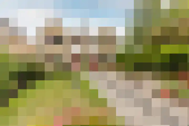 Julianastraat 4 Hellevoetsluis thumbnail 4