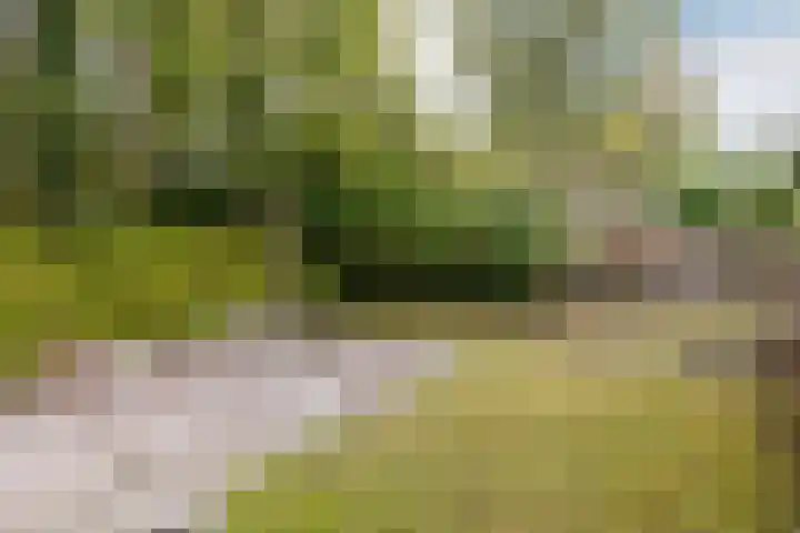 Julianastraat 4 Hellevoetsluis thumbnail 42