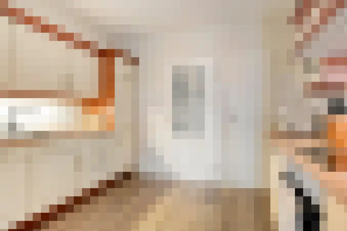 Julianastraat 4 Meerlo thumbnail 12