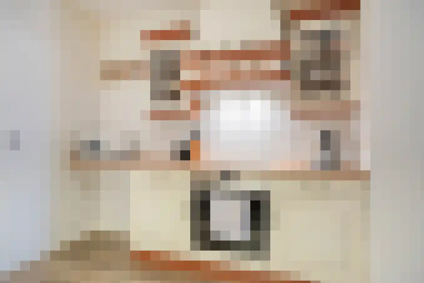 Julianastraat 4 Meerlo thumbnail 13