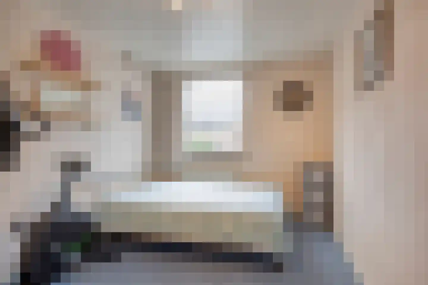 Julianastraat 4 Meerlo thumbnail 19
