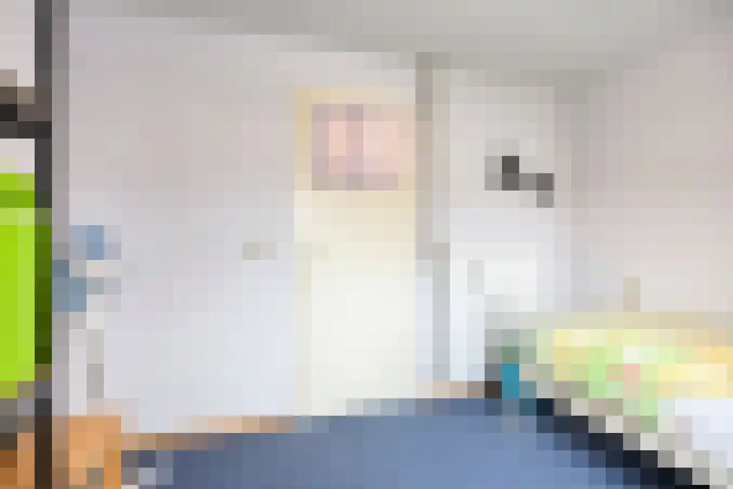 Julianastraat 4 Meerlo thumbnail 22