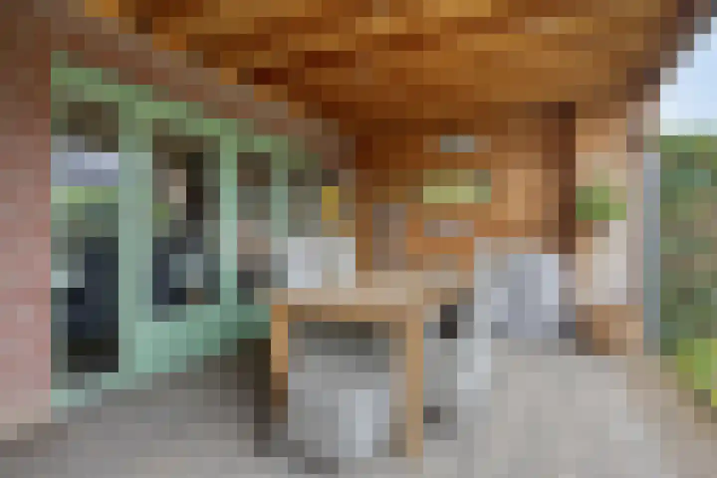 Julianastraat 4 Meerlo thumbnail 27