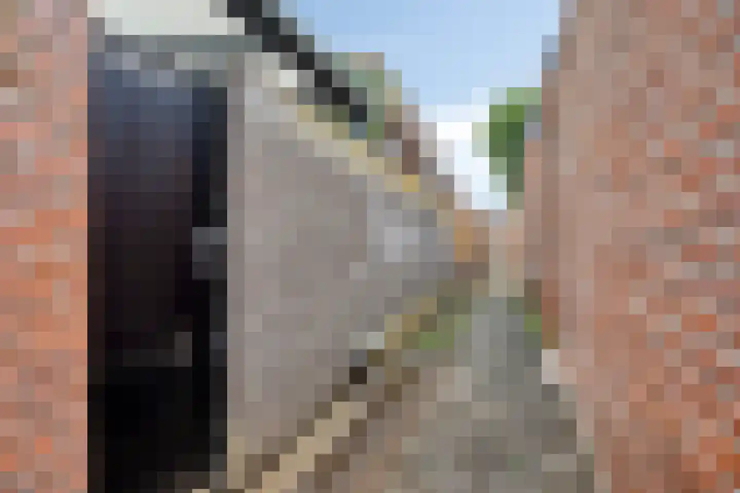 Julianastraat 4 Meerlo thumbnail 32