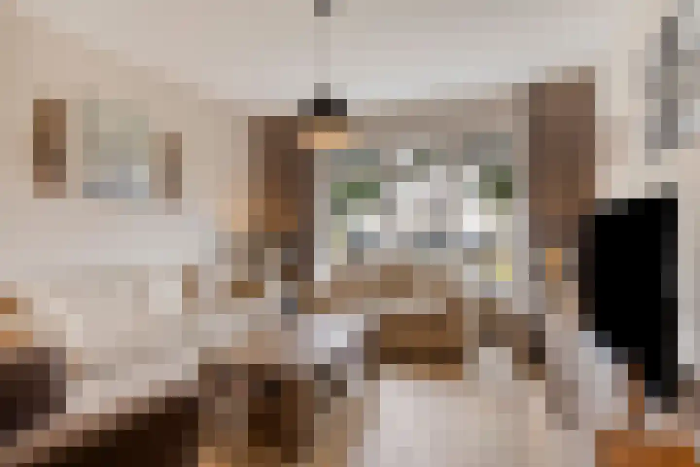 Julianastraat 4 Meerlo thumbnail 7