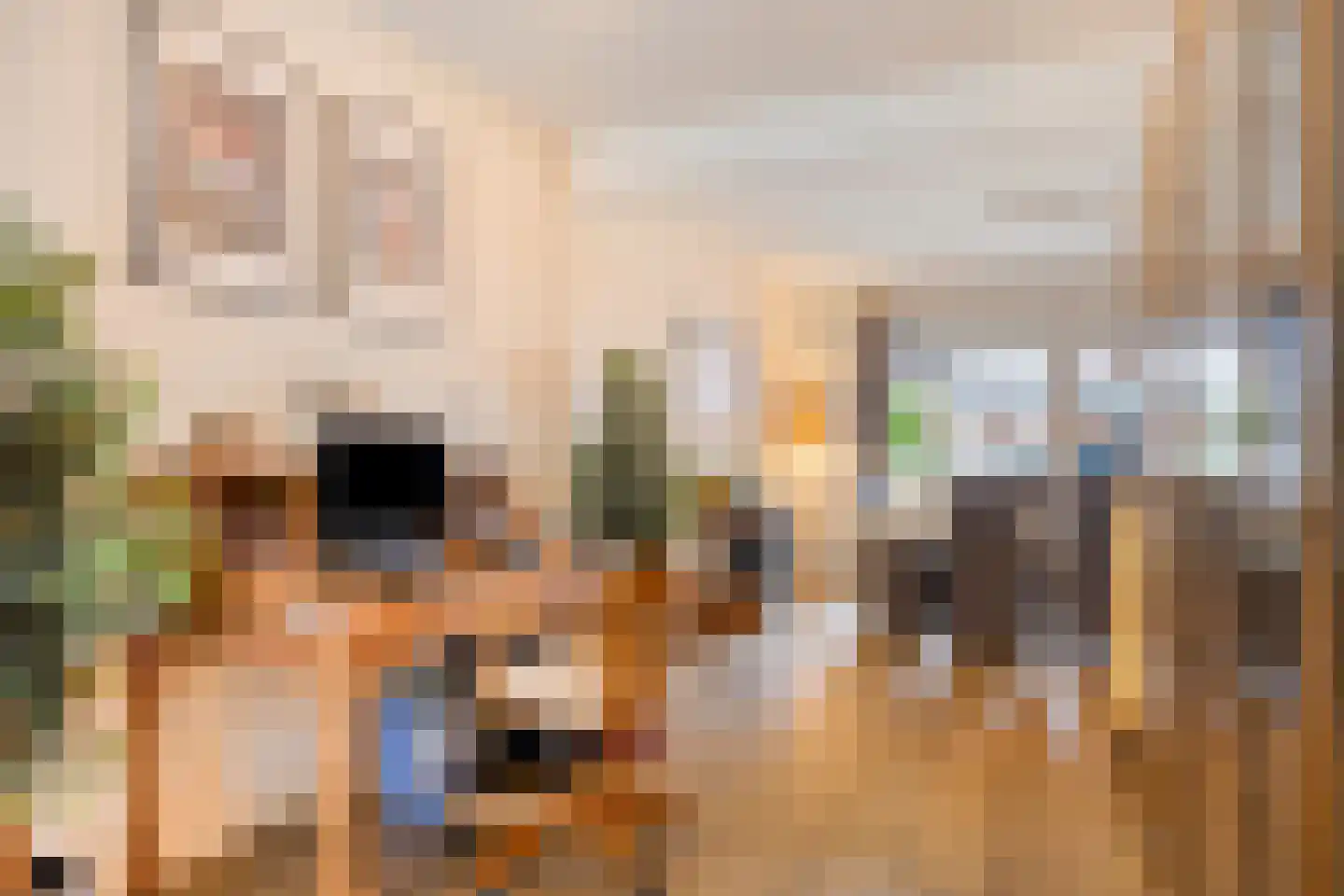 Julianastraat 4 Meerlo thumbnail 9