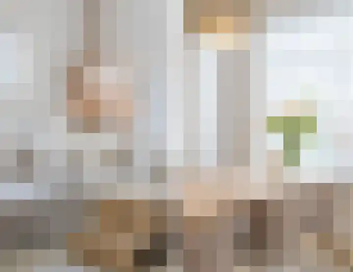 Julianastraat 4 Mill thumbnail 11