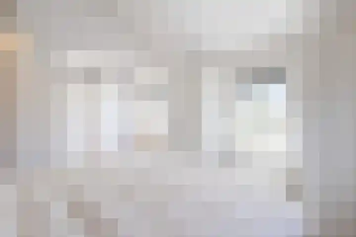Julianastraat 4 Mill thumbnail 18