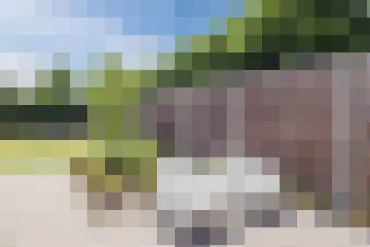 Julianastraat 4 Mill thumbnail 29