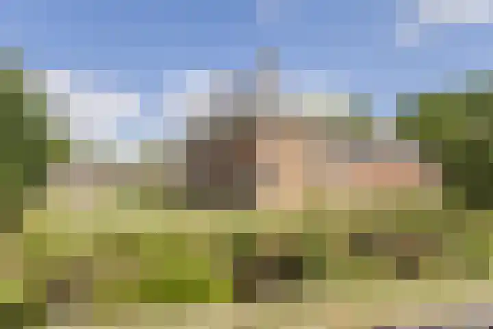 Julianastraat 4 Mill thumbnail 35