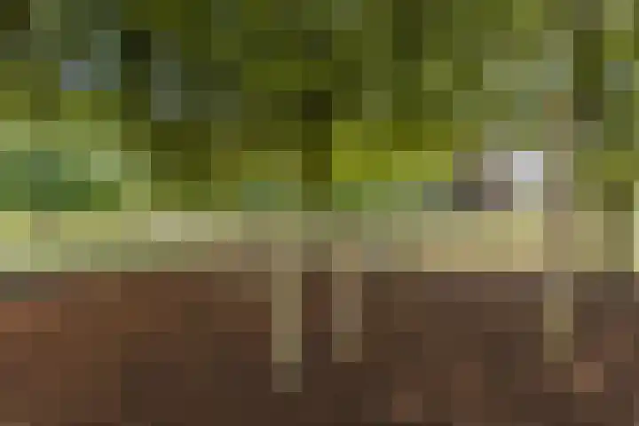 Julianastraat 4 Mill thumbnail 36