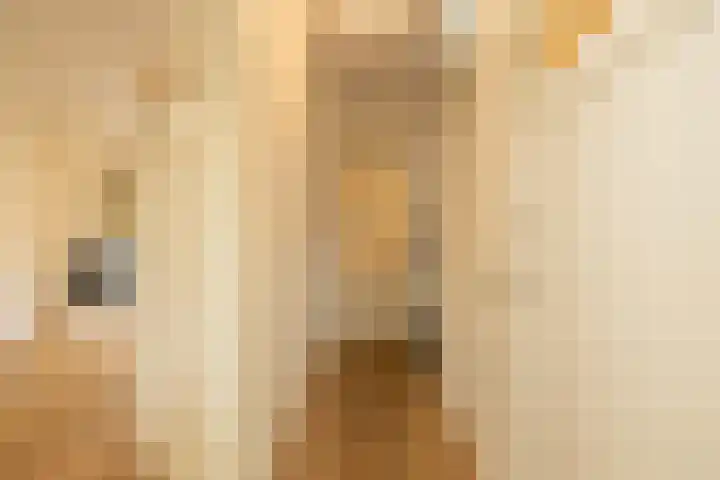 Julianastraat 4 Noordwijkerhout thumbnail 11