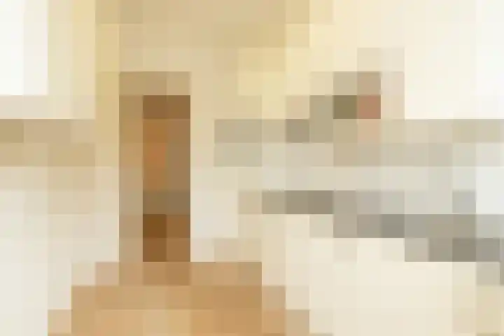 Julianastraat 4 Noordwijkerhout thumbnail 13