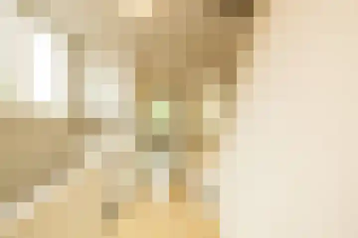 Julianastraat 4 Noordwijkerhout thumbnail 18