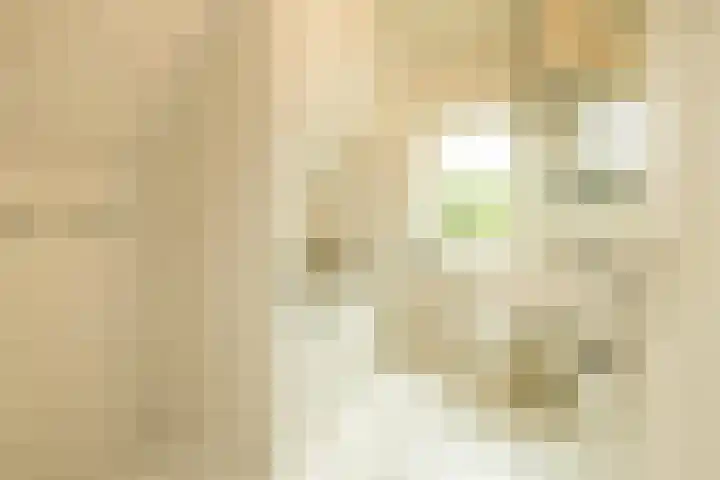Julianastraat 4 Noordwijkerhout thumbnail 19