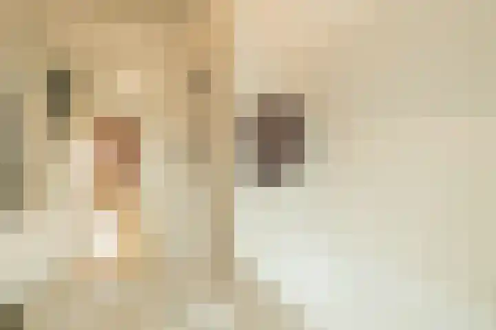 Julianastraat 4 Noordwijkerhout thumbnail 20