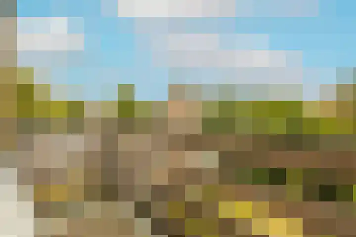 Julianastraat 4 Noordwijkerhout thumbnail 26