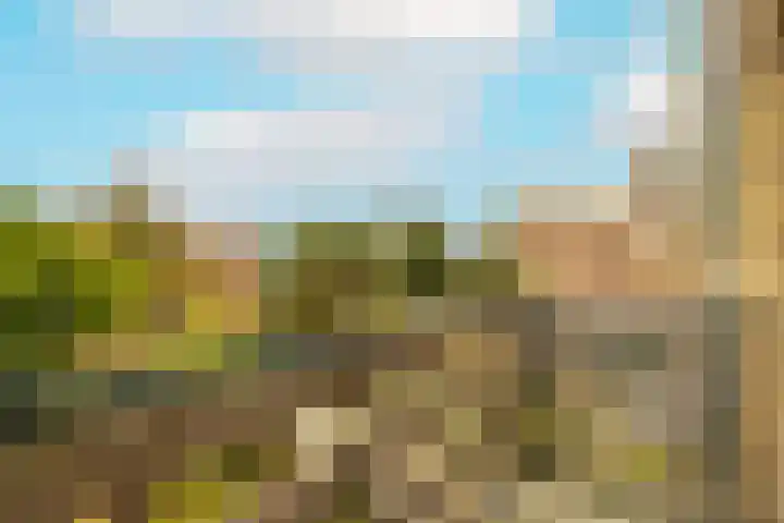 Julianastraat 4 Noordwijkerhout thumbnail 27