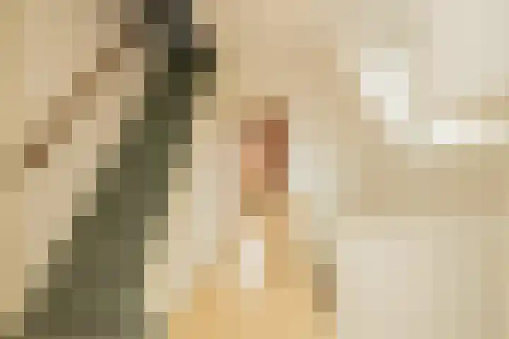 Julianastraat 4 Noordwijkerhout thumbnail 28