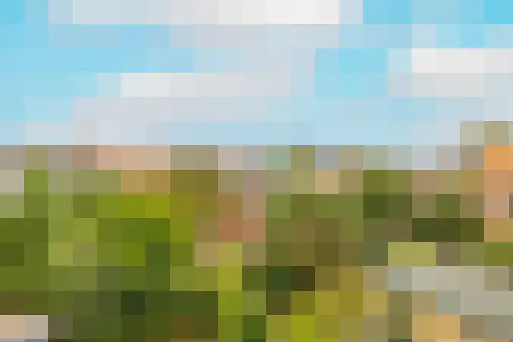 Julianastraat 4 Noordwijkerhout thumbnail 32