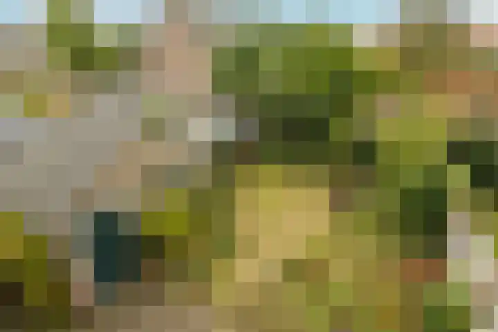 Julianastraat 4 Noordwijkerhout thumbnail 33