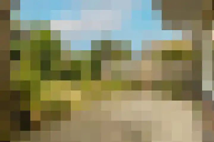 Julianastraat 4 Noordwijkerhout thumbnail 34