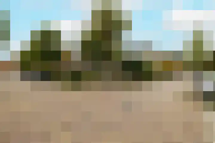 Julianastraat 4 Noordwijkerhout thumbnail 39