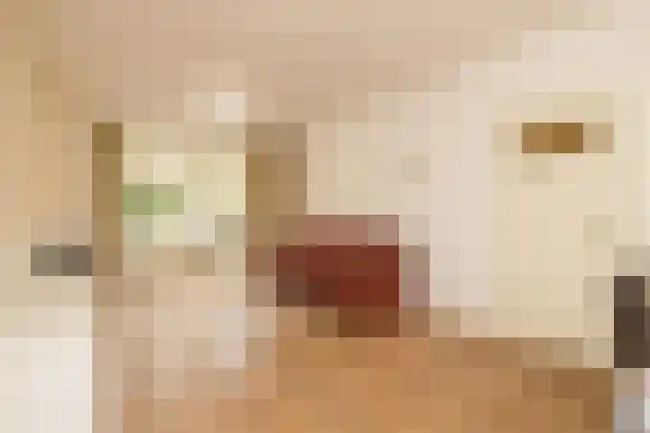 Julianastraat 4 Noordwijkerhout thumbnail 5
