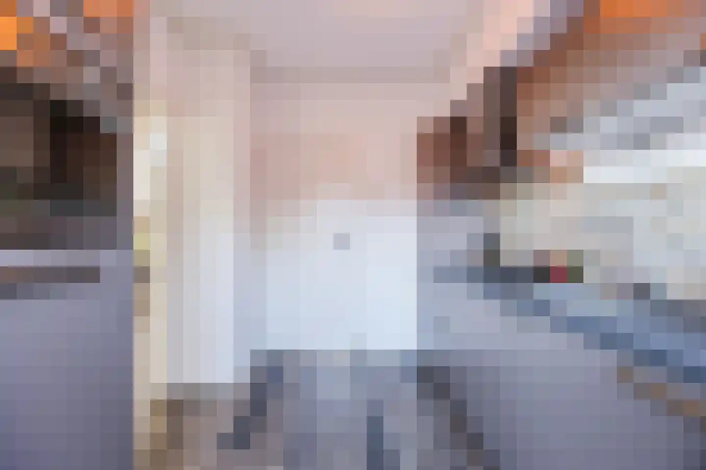Julianastraat 40 Dongen thumbnail 10