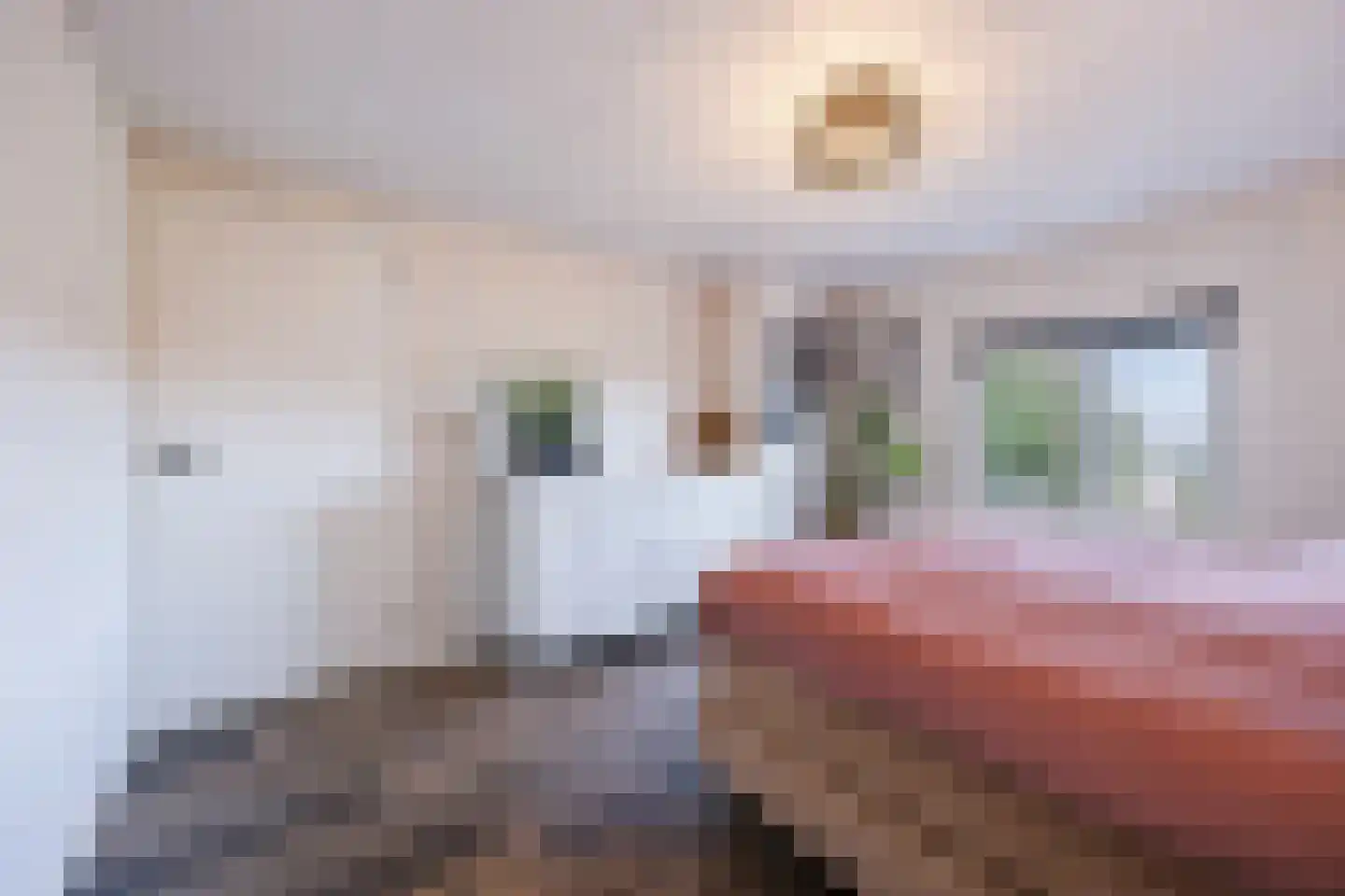 Julianastraat 40 Dongen thumbnail 33