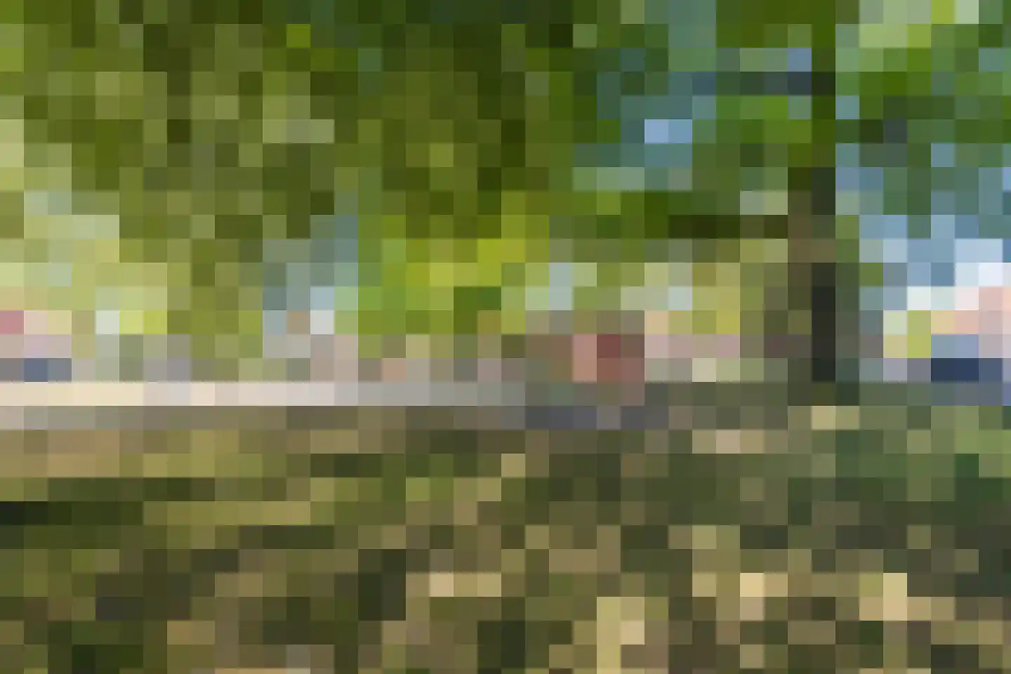 Julianastraat 40 Dongen thumbnail 43