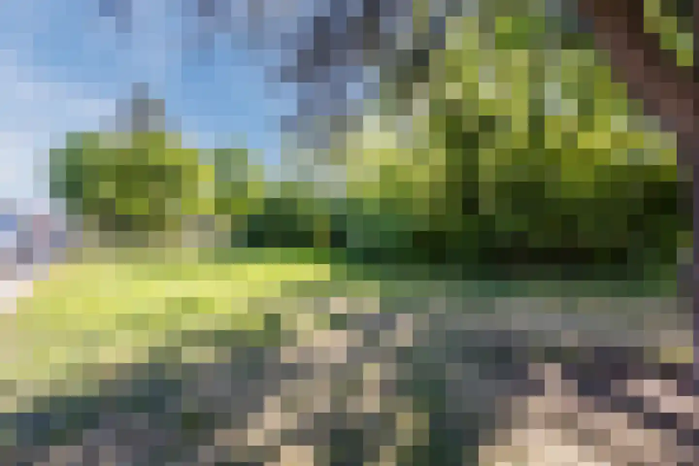 Julianastraat 40 Dongen thumbnail 45
