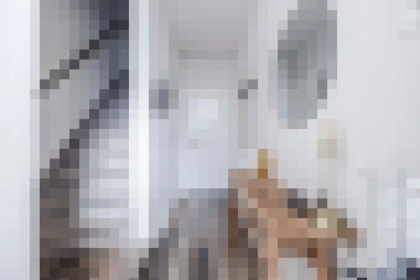 Julianastraat 40 Dongen thumbnail 6