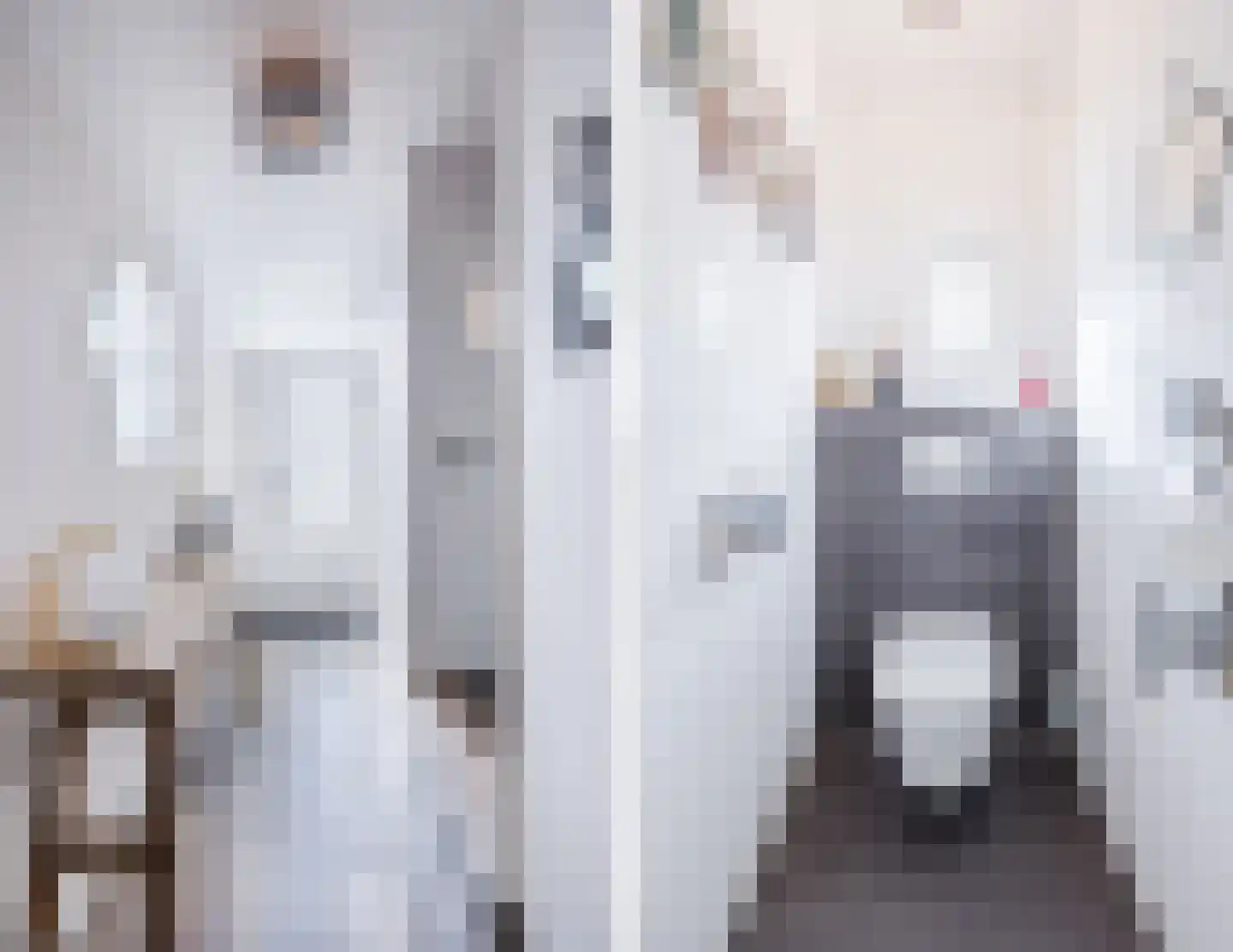 Julianastraat 40 Dongen thumbnail 7