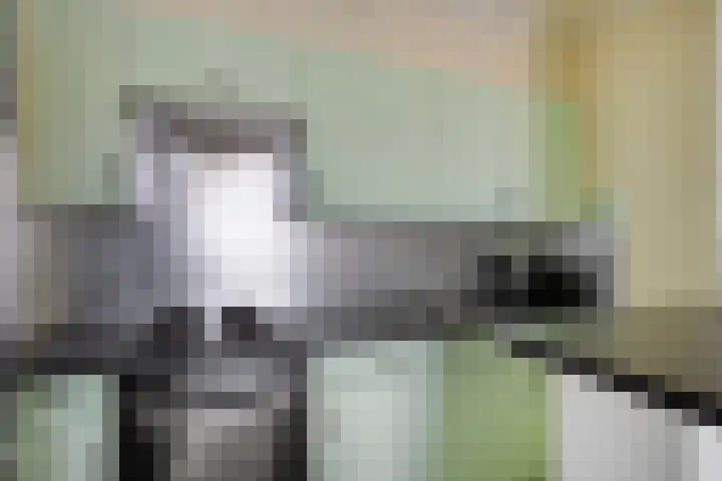 Julianastraat 40 Uden thumbnail 12