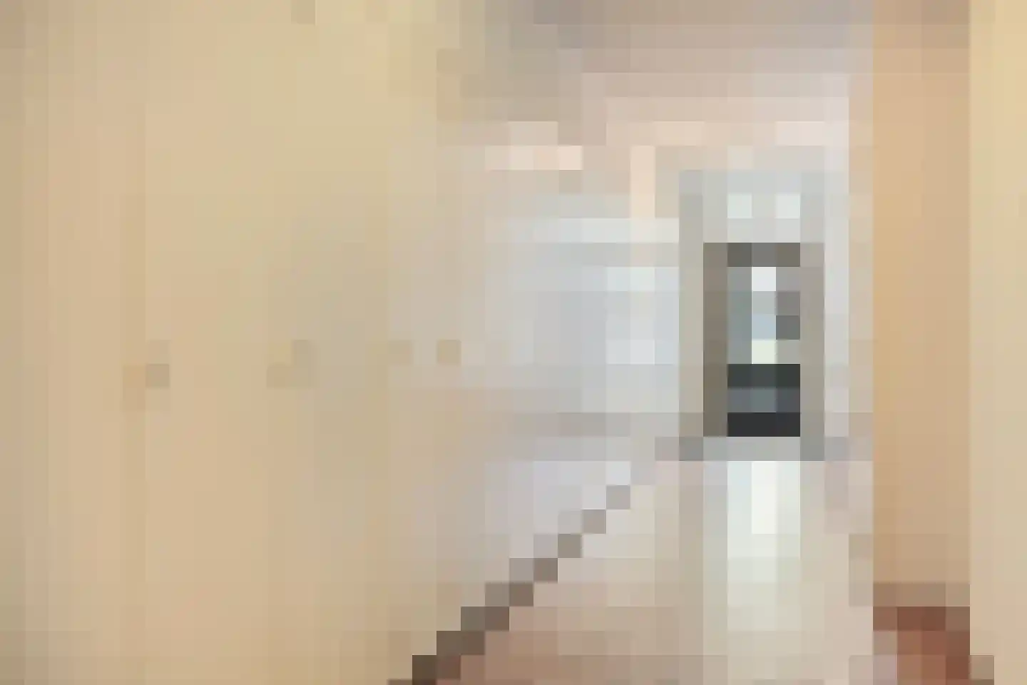 Julianastraat 40 Uden thumbnail 28